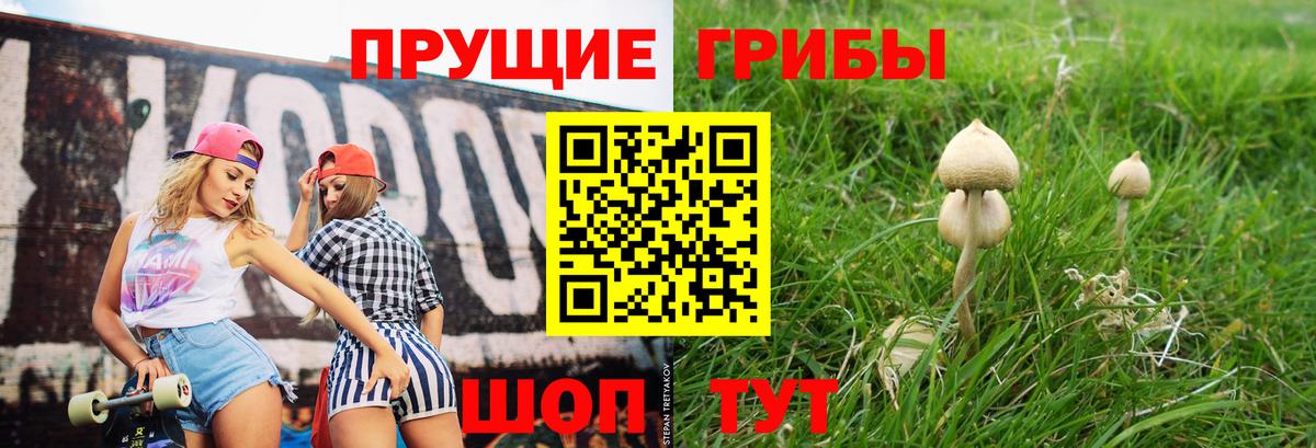 Псилоцибиновые грибы ЛСД Омск