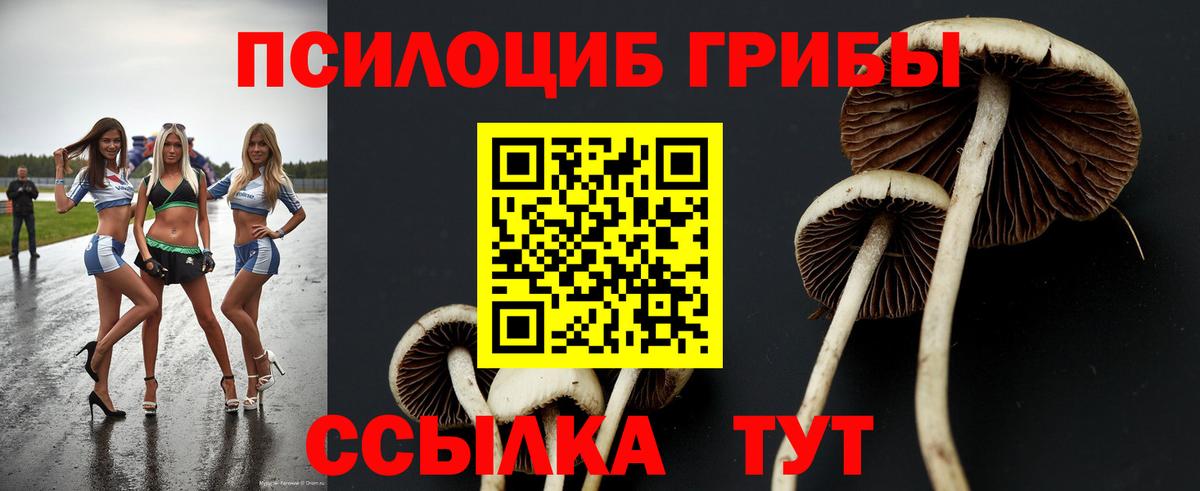 Галлюциногенные грибы Psilocybe  Вход с VPN  Омск 